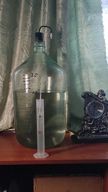 Делаю Джин к Новому году #историиизжизни