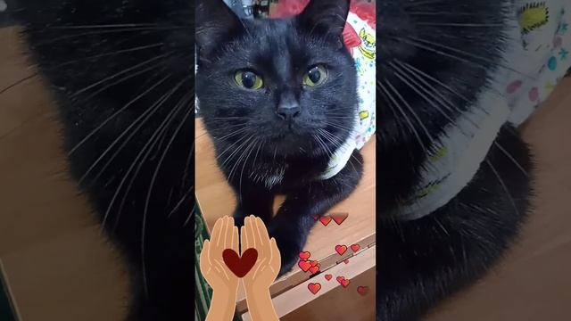 Я Тебе Поставлю Лайк!❤❤❤(одета только для съёмок) смотреть онлайн