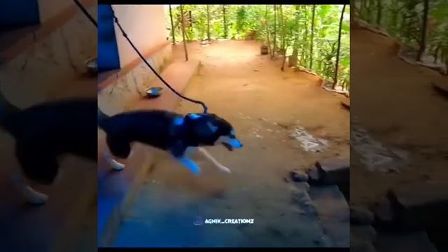 E bull jet Rambo Status😍😘 смотреть онлайн