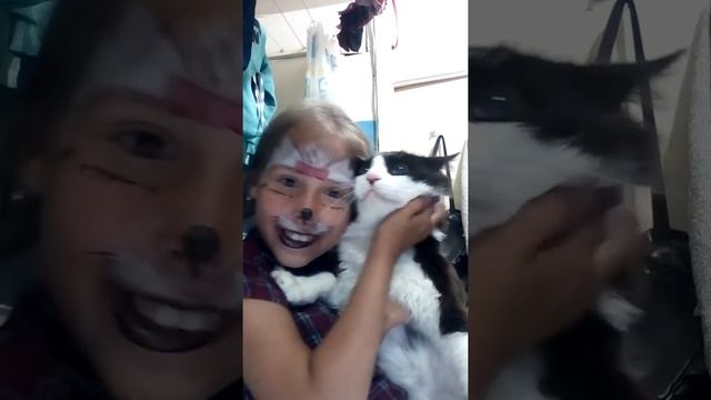 Лицо кота или собаки смотреть онлайн
