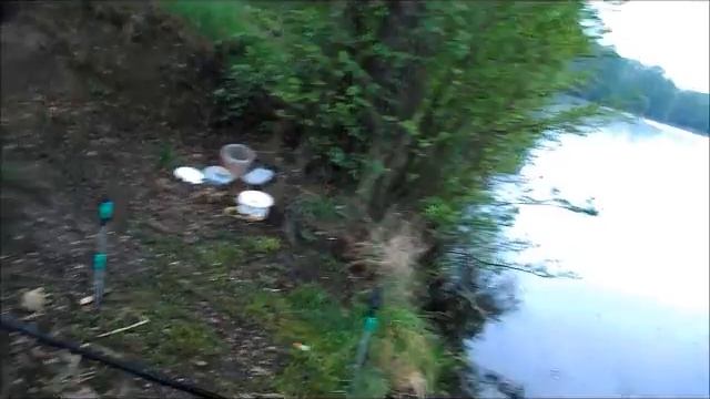 На ловле карпов в Sachsen смотреть онлайн