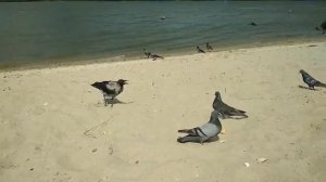 Клятва 347 - 348 серии русская озвучка | Обзор и Дата выхода