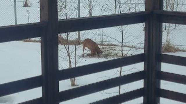готовимся к весенним посадкам.. смотреть онлайн