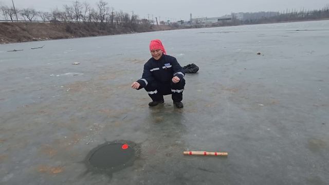 Ловлю судаков на хапугу. #рыбалка #fishing #낚시 #carpfishing #carp #паукподъемник