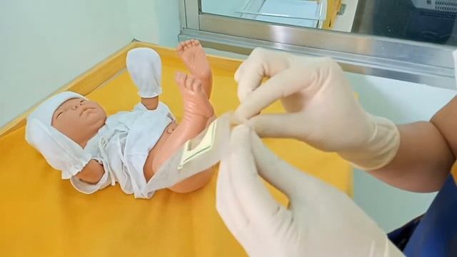 Weebag attachment Checklist смотреть онлайн