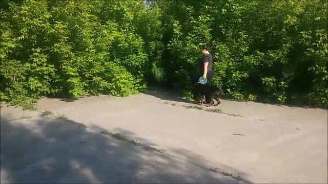 Миська трень смотреть онлайн