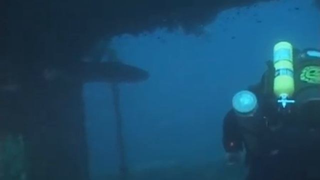 Megalodon and huge Barracuda смотреть онлайн