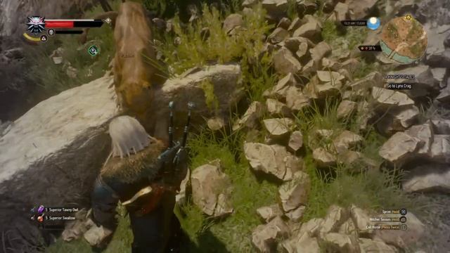 The Witcher 3 - Panther смотреть онлайн