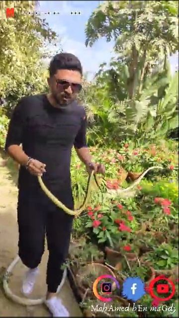 متعه صيد التعابين .. ثعبان ابو السيور - محمد بن مجدي 2021 смотреть онлайн