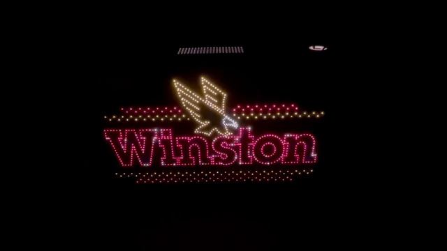 WINSTON FIBER OPTIC LIGHTED MOTION SIGN 36 смотреть онлайн