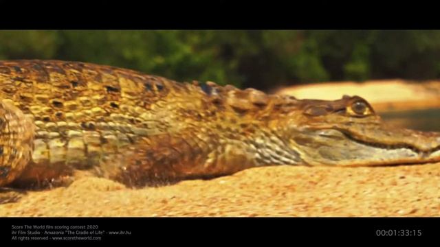 Score The World contest - Katya Pine - Submission смотреть онлайн