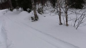 Hagglunds BV206 Лось экстрим по снегу