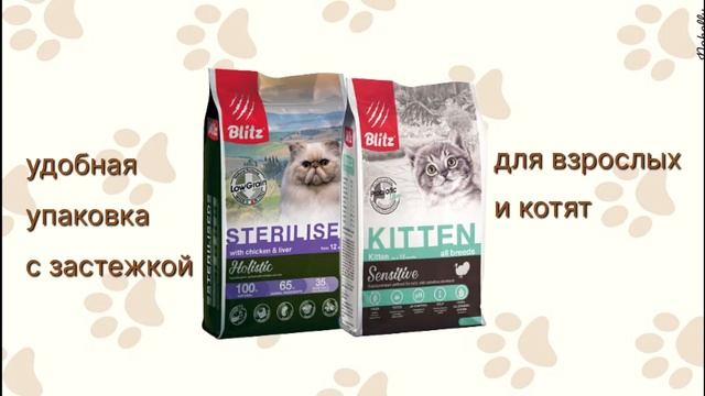 Учебный ролик в Вегасе смотреть онлайн