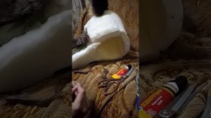 Крафт фурсьюта гиены. Часть 2. Офурение основы