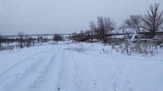 Ферма.Новый год смотреть онлайн