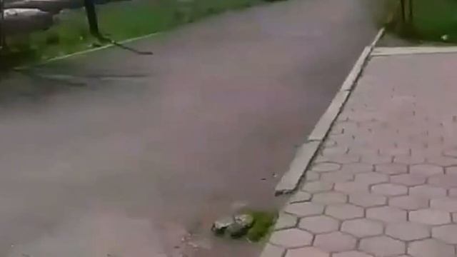 Темиртау в карантин смотреть онлайн