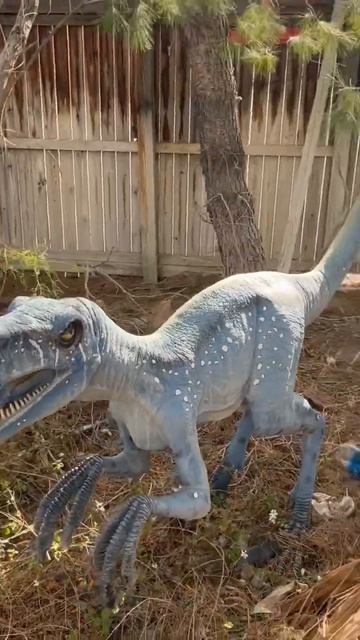 #jurassicworld #dinosaur #parasaurolophus #tyrannosaurusrex #triceratops #velociraptor смотреть онлайн