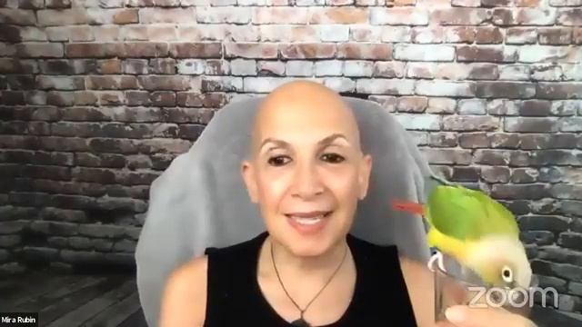 The Observer Effect: The Core Connection with Mira Rubin смотреть онлайн