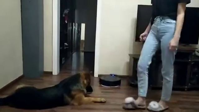 Баларис ДОРИС (Баларис Денди - Баларис Евразия смотреть онлайн