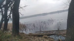 охота на лисуху(я опять промахнувся)