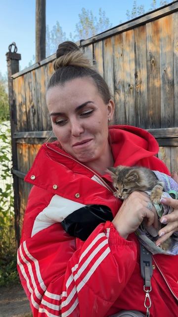 Уличная кошка