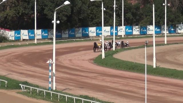 Московский ипподром. Бега. 20.08.17. Все финиши дня смотреть онлайн
