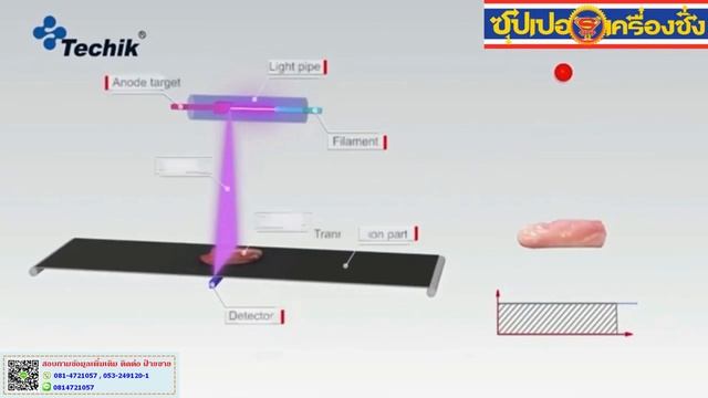 Standard Single Energy X ray Food Foreign Body Detector смотреть онлайн