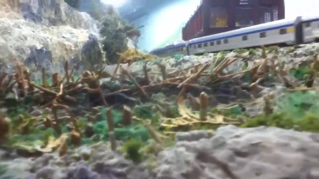 Le barrage de castor смотреть онлайн