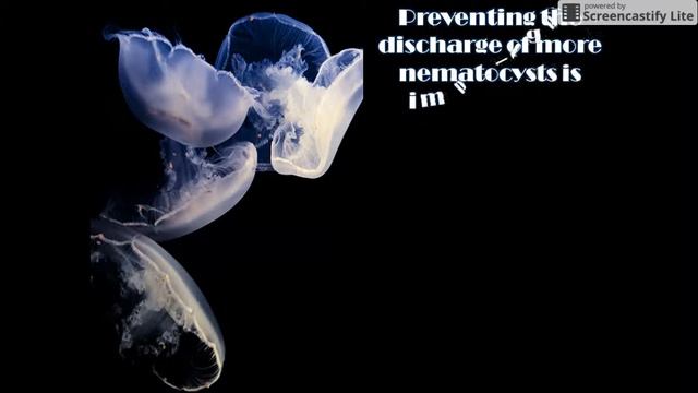 Jellyfish Envenomation смотреть онлайн