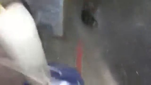 Funnel web spider in web смотреть онлайн