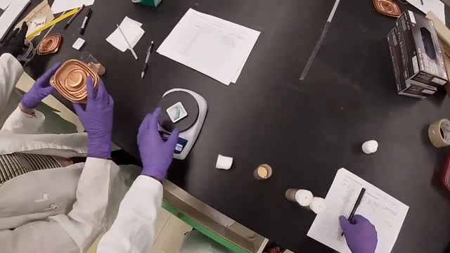 Manduca sexta CRE Lab Protocol | 4.12.19 смотреть онлайн