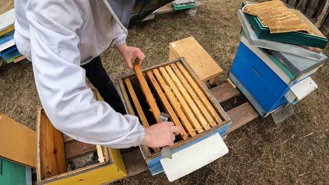 А ось і результат. Сім'я була без матки. смотреть онлайн