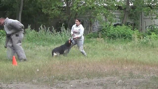 Zebra (Arras V.H. Polbeekkwartier + Zidana far Lep) 6 упражнение смотреть онлайн