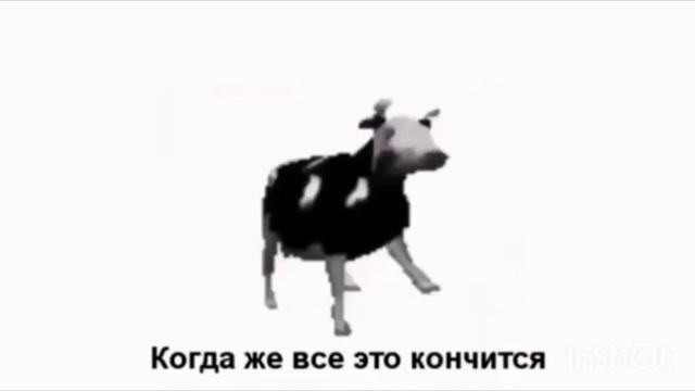 ПОЛЬСКАЯ КОРОВА ( ПЕРЕВОД НА РУССКИЙ )