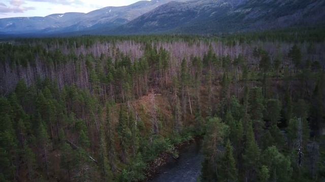 За Полярный круг: Кольский - 2023 смотреть онлайн