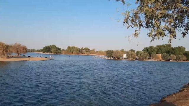 ED#22- LOVE LAKE I FLAMINGO LAKE I AL QUDRA I DUBAI смотреть онлайн