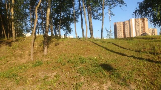 Утки на улице Борисовские Пруды. смотреть онлайн