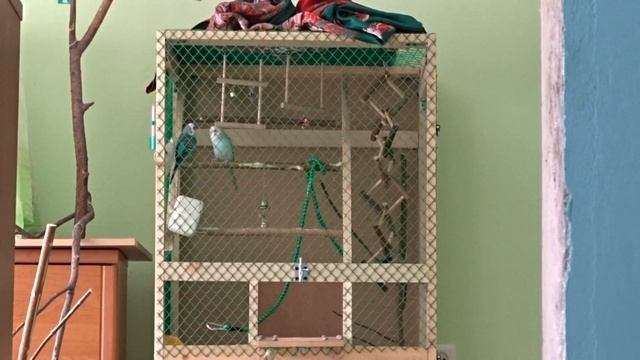 Попуги и синичка - 3 смотреть онлайн