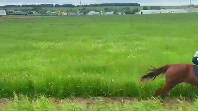 Сатыш авыл җирлегендә Сабантуй узды смотреть онлайн