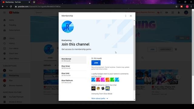 How to Become a Member / Sponsor to the Rise Nation and Perks смотреть онлайн