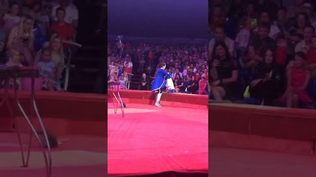 31 октября 2022 г. смотреть онлайн