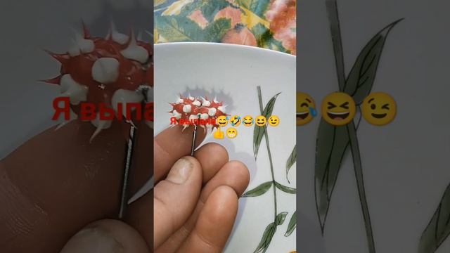 Шок 👍😁😉😆😂🤣😅бляха муха😁 смотреть онлайн