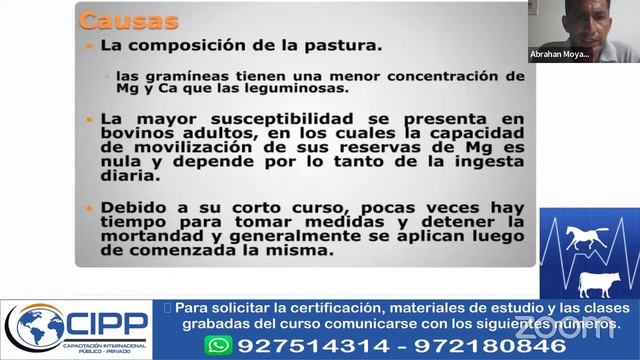 veterinaria grandes especies смотреть онлайн