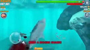 Hungry Shark Evolution-обзор"Мегалодон"