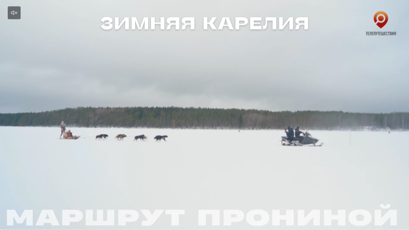 Зимняя Карелия. Собаки \\ Маршрут Прониной