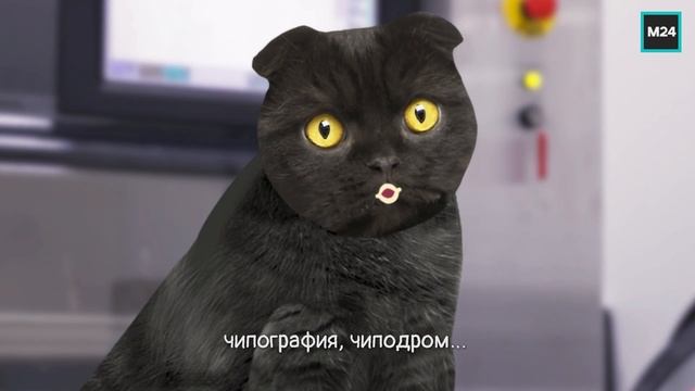 Завод «Микрон» | Кот Бублик смотреть онлайн