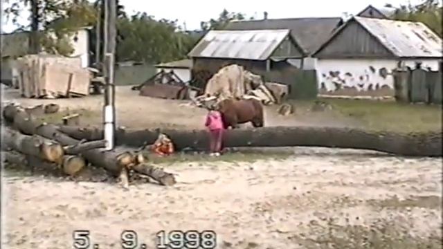Alina s Nastey loshad смотреть онлайн