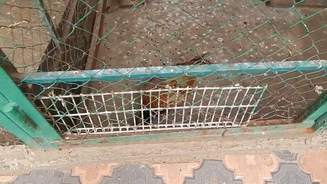 DSCN6808 28 06 2016 Г КАФЕ ....КАК ЖЕ БЕЗ ВАС !!! смотреть онлайн