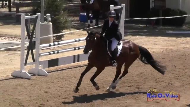 088S Lisa Sabo on WTF Doria Open Training Show Jumping Copper Meadows June 2015 смотреть онлайн