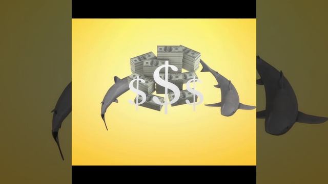 Shark Awareness Day смотреть онлайн